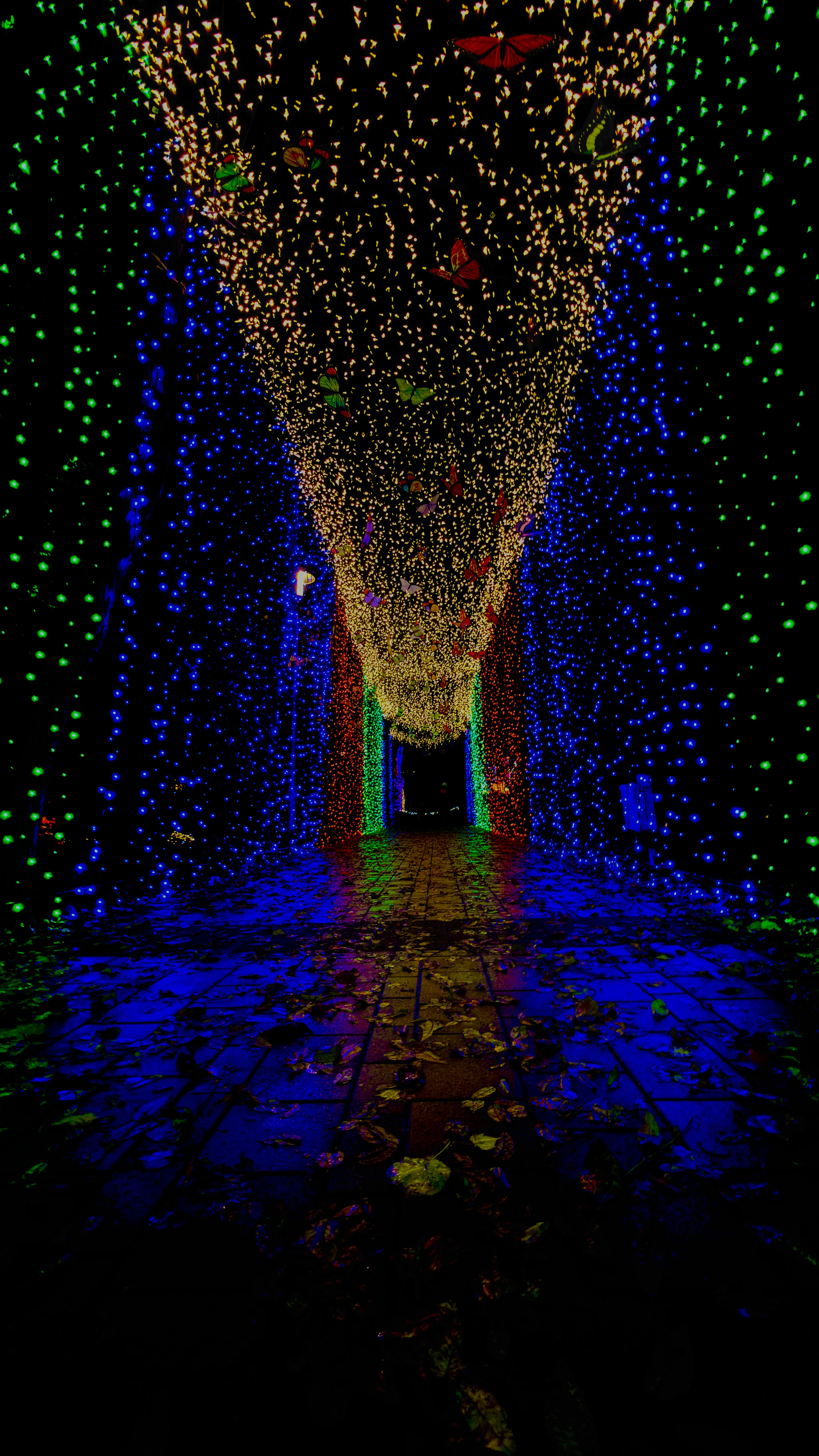 Garden Lights - Kerti világítás 1