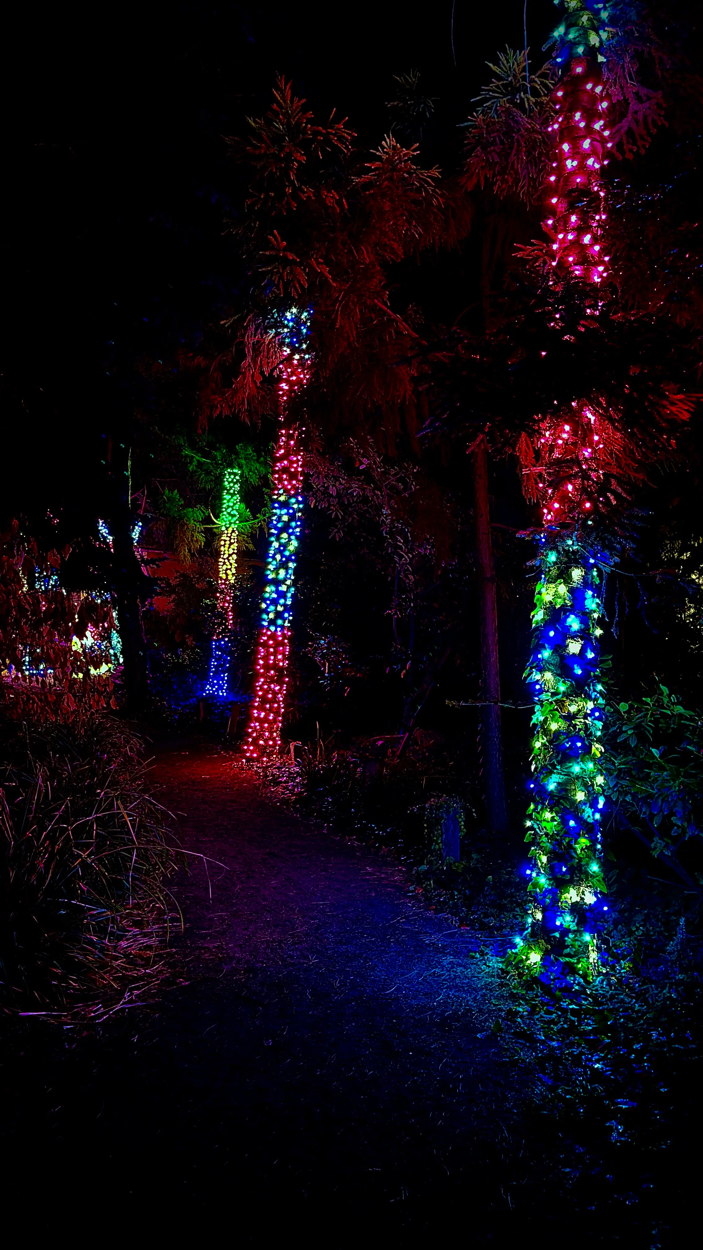 Garden Lights - Prémium kertvilágítás